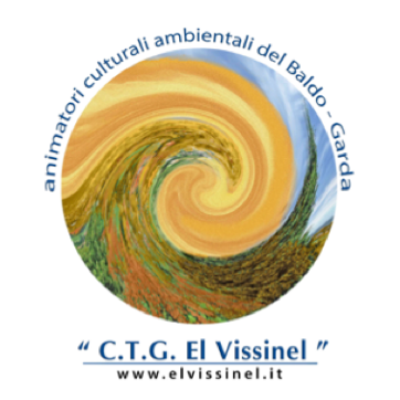 logo vissinel