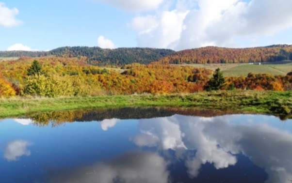Img 1