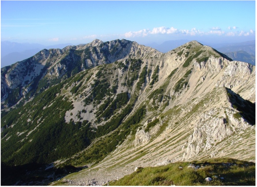 Senza titolo